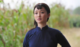 红高梁电视剧,烽火岁月里的家国情怀